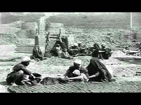 Palestine - Programme documentaire