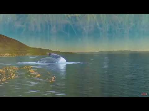 We Give Thee but Thine Own. SDA Hymnal 670| Playing Piano with Adam