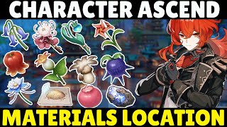 Genshin Impact - All Characters Ascend Material Locations Farming Route | Local Specialty Materials