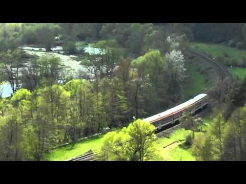 Trenuri in Judetul Bihor Vol.8 - Trains in Bihor County Vol.8