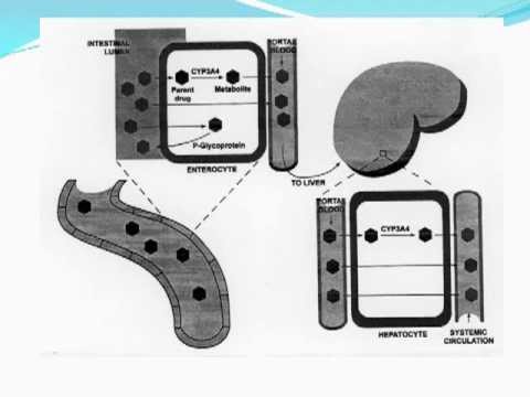 download lagu mp3 mp4 Hiv Interactions, download lagu Hiv Interactions gratis, unduh video klip Hiv Interactions