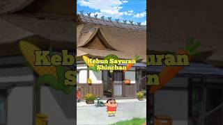 Kebun shinchan di halaman rumah 🌽🥦🥕 #shinchan #crayonshinchan #shorts