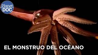 Thumbnail del capítulo