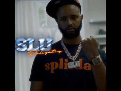 Slu - DELEGATING (re-upload)