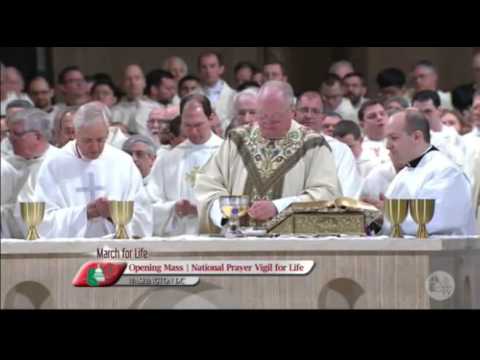Agnus Dei from 2016 National Prayer Vigil for Life Opening Mass