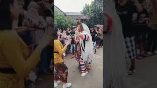 Download lagu LEAK BALI ! TOP TRENDING KARNAVAL ! #shortsvideo mp3