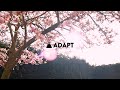 Adapt introduces: A New Beginning