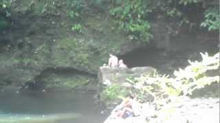 preview picture of video 'Sapang Dalaga Falls'