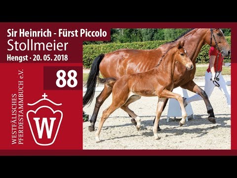 088 Stollmeier HF v. Sir Heinrich - Fürst Piccolo