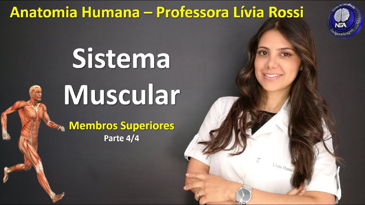 Anatomia Humana - Sistema Muscular - Membros Superiores (4/4)