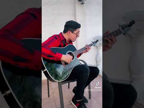 Estilo Sinaloa - Marca Registrada