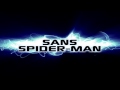 Spider-Man : Aux frontières du temps - WII