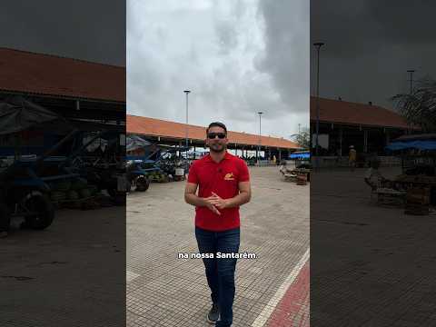 Fala maninho! Santarém é riquíssima demais!🐟🌊🌿 #santarém #para #cultura