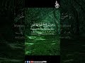 Surah Al Mu Minun 115 118 Quranrecitation