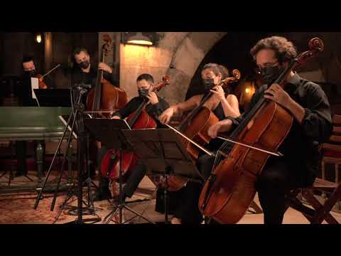 Re-Imagining the Brandenburg Concertos