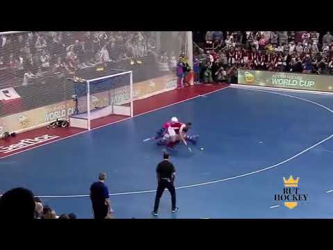 Epic Indoor Hockey Moment (Final Austria ChampionShip)