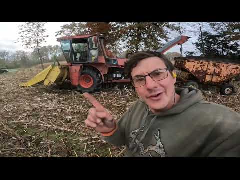 The Secret to a Clean Load of Ear Corn