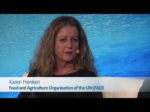 Coping with water scarcity in agriculture