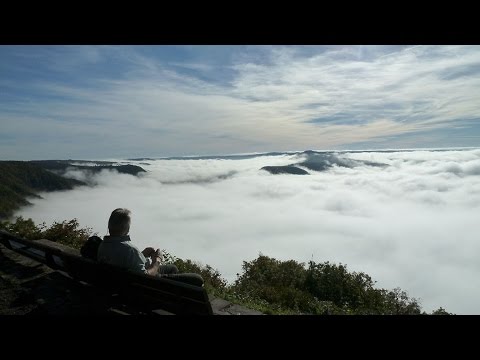 Der Moselsteig:16. Etappe, Neef - Ediger Eller