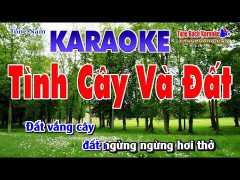 Tình Cây Và Đất Karaoke | Tone Nam - Nhạc Sống Tùng Bách