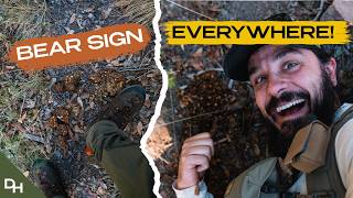 2026 BEAR HUNTING PREP! - BEAR SIGN WAS EVERYWHERE - SCOUTING 2026