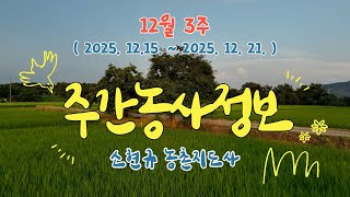 ✨[주간농사정보] 12월 3주 (2025. 12. 15. ~ 12. 21.)