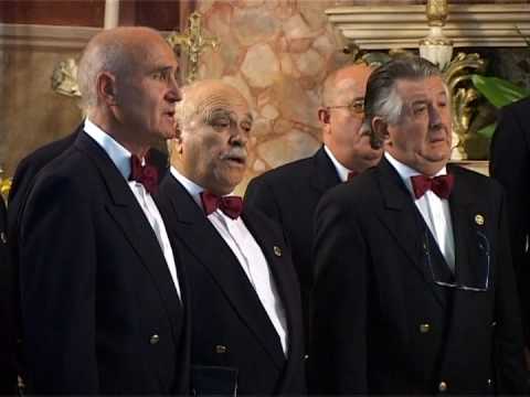 Stelutis alpinis - A. Zardini