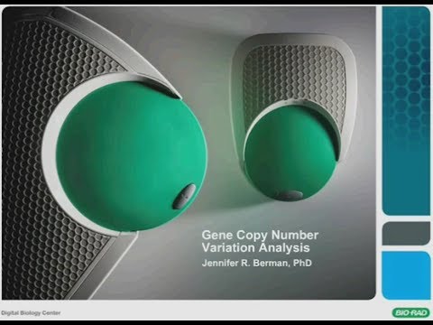 Droplet Digital™ PCR for Gene Copy Number Variation