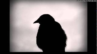 Scovern - Dead Raven