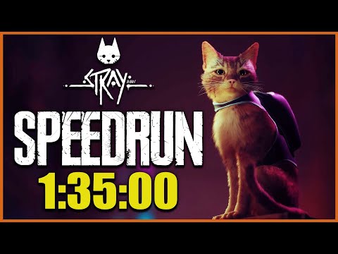 Stray - Speedrun - Speedy Katzalo - Komplettes Spiel in 1:35:00 h - Trophäe - Komplettlösung - Tipps