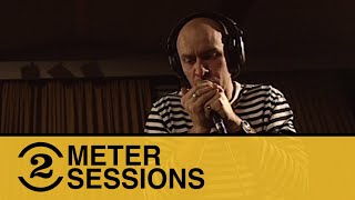 The The - Dogs of Lust (Live on 2 Meter Sessions)