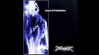 Mutilate the Stillborn - Necrophagist