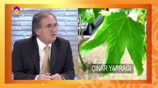 Dizlerde Kireçlenme İçin Kür - TRT DİYANET