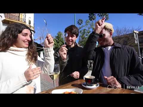 CIEE Advanced Liberal Arts in Seville, Spain — video 8