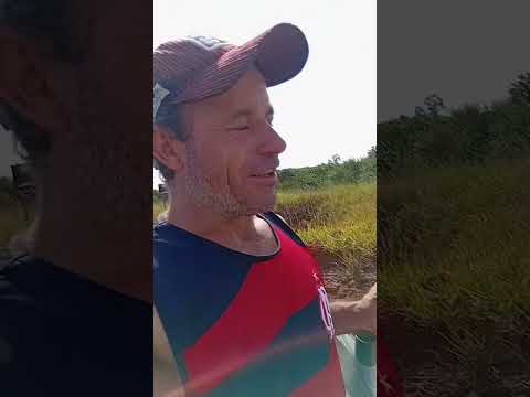 Saindo de Wenceslau Braz Paraná São José da Boa Vista. . a Pé 19 Quilômetros 😉👍🏻
