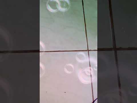 MC Menor MR e fanieh- Nem quis saber (kondzilla.com)