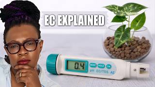 EC Explained: What the Numbers Mean for Semi Hydroponics and Houseplants