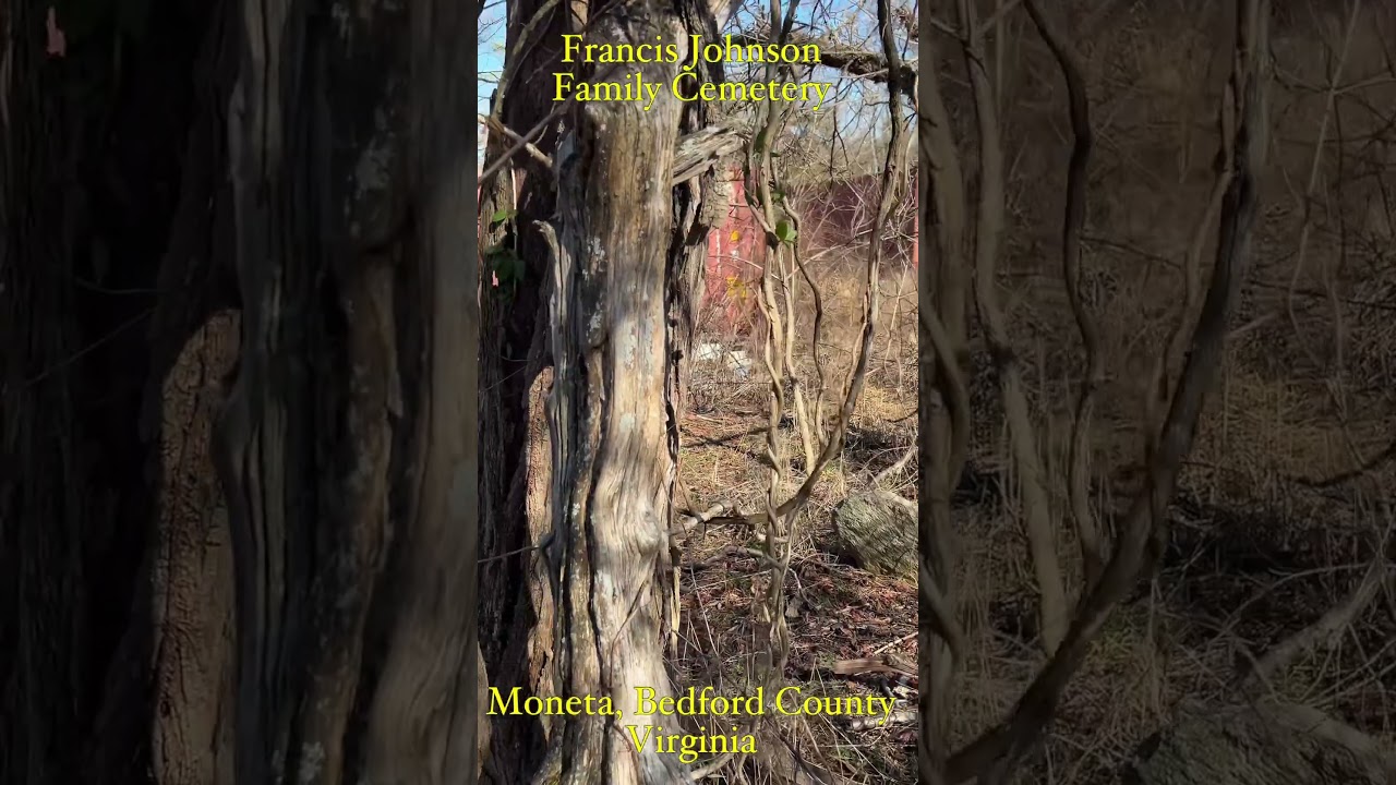 First visit and assessment at the Francis Johnson Family Cemetery