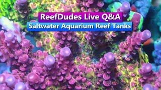 ReefDudes ReefChat - Live Q&A on Saltwater Aquarium Reef Tanks
