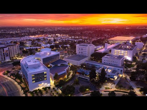 Lh Csuf