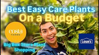 Big Box Store Plant Shopping Lowes Restocks Costa Farms and Budget Hacks Early Fall Seasonal Plants