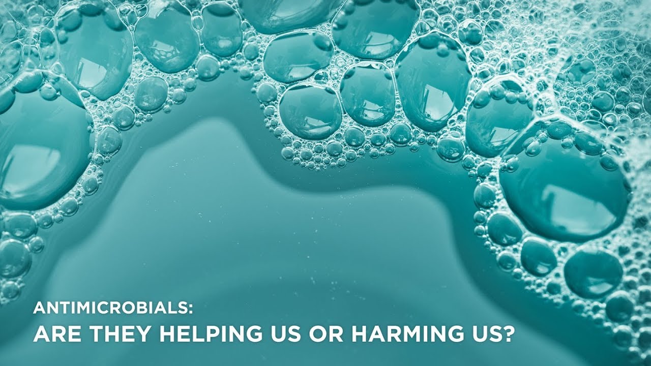 Antimicrobials | Six Classes four minute videos