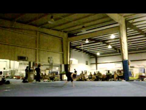 Abridged Wushu Form (Female)