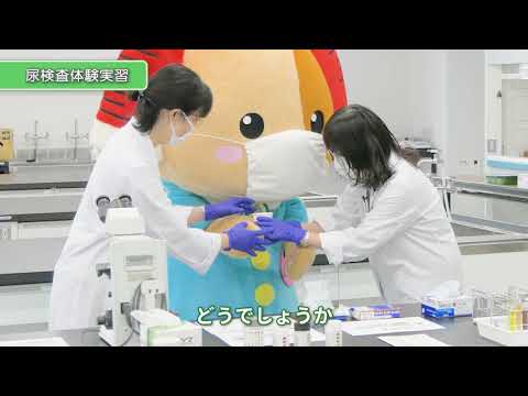 神戸常盤大学【医療検査学科】実習「尿検査をしてみよう」