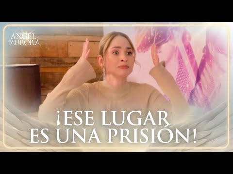 Imagen predeterminada