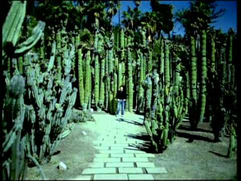 Kai Tracid - Trance & Acid (Best Quality)(DVD)