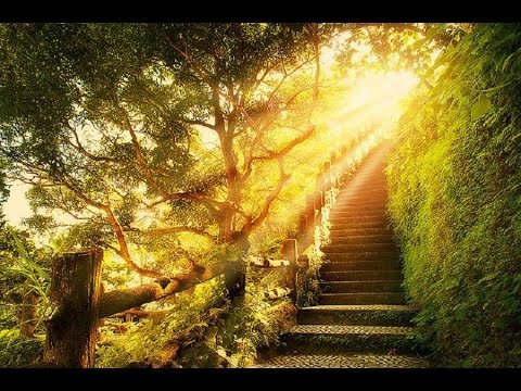 ترنيمة إنتظري الرب يا نفسي