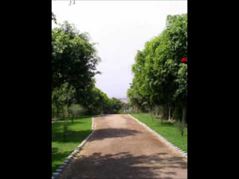 radio magica 88.3 ¿como se llama esta cancion?