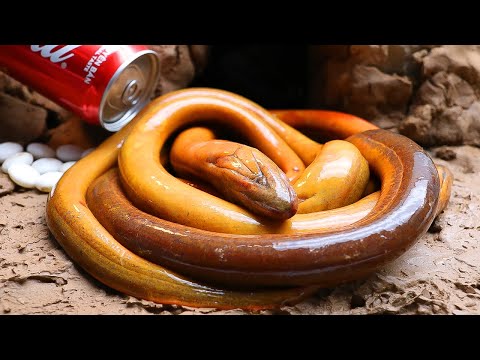 Stop Motion ASMR - Unbelievable Eel fish Comeout in Hole Underground Primitive Cooking | Cuckoo