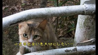 チャンネル紹介動画 Ver.02